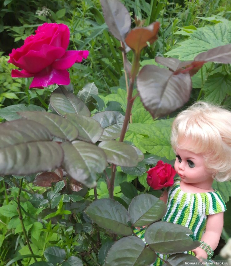 Та ещё звезда — Винтажные куклы ГДР (Немки): Бигги