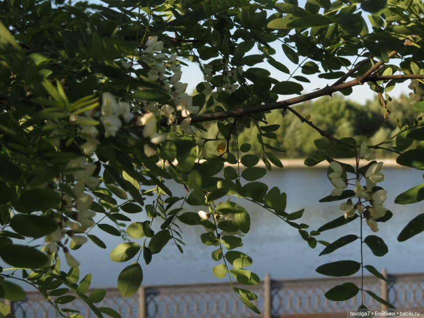 Праздник кукол "Весна" — Российские куклы Весна (фото 9)