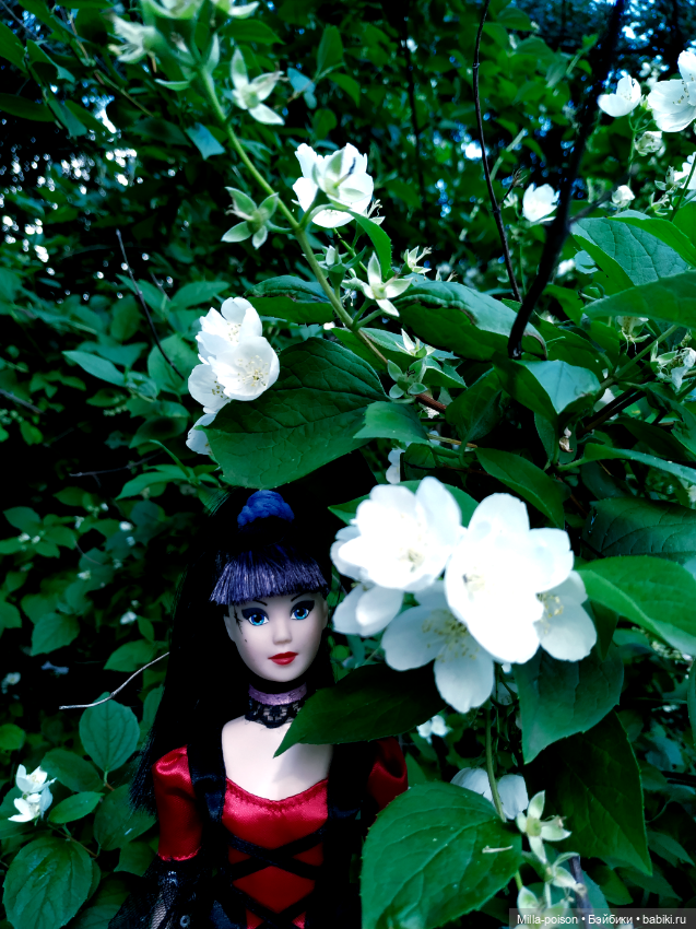 Steffi — Аналоги Барби и куклы 1/6: клоны 90 (фото 6)