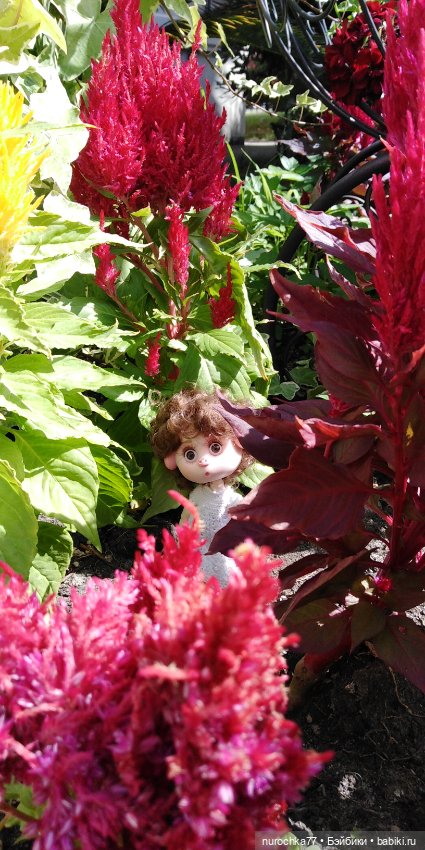 Нафочка. Приключения продолжаются