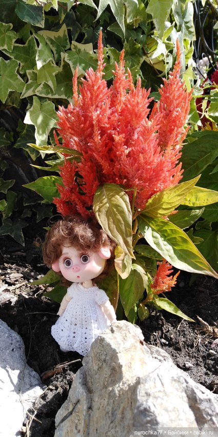 Нафочка. Приключения продолжаются