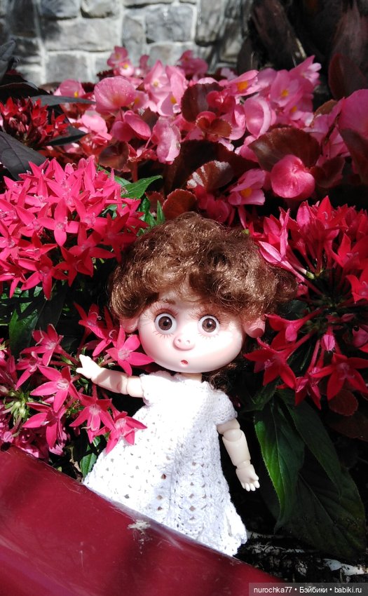 Нафочка. Приключения продолжаются