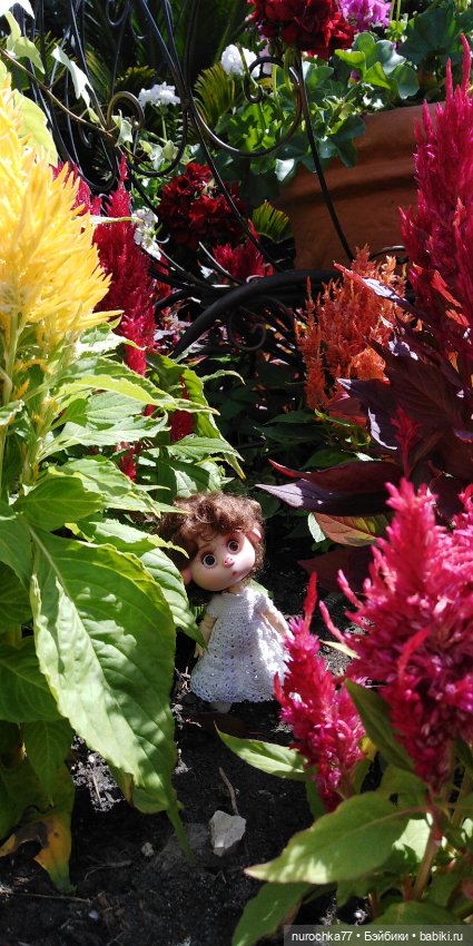 Нафочка. Приключения продолжаются