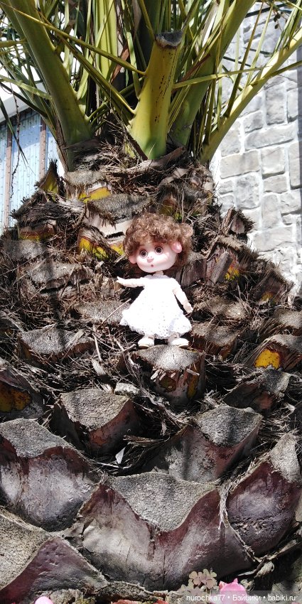 Нафочка. Приключения продолжаются