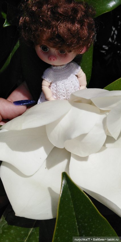 Нафочка. Приключения продолжаются