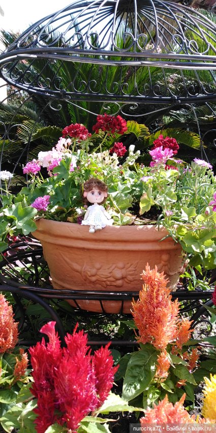 Нафочка. Приключения продолжаются