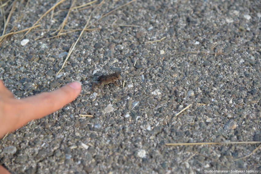 Новый мейк для любимой Дианки Руби Ред (фото 9)