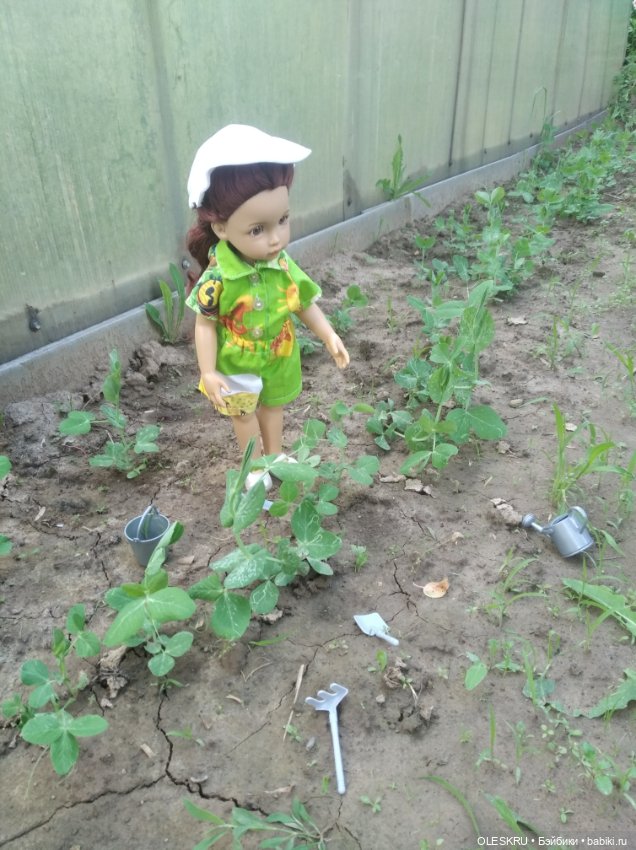 На даче .Светочка на гороховых грядках (фото 2)