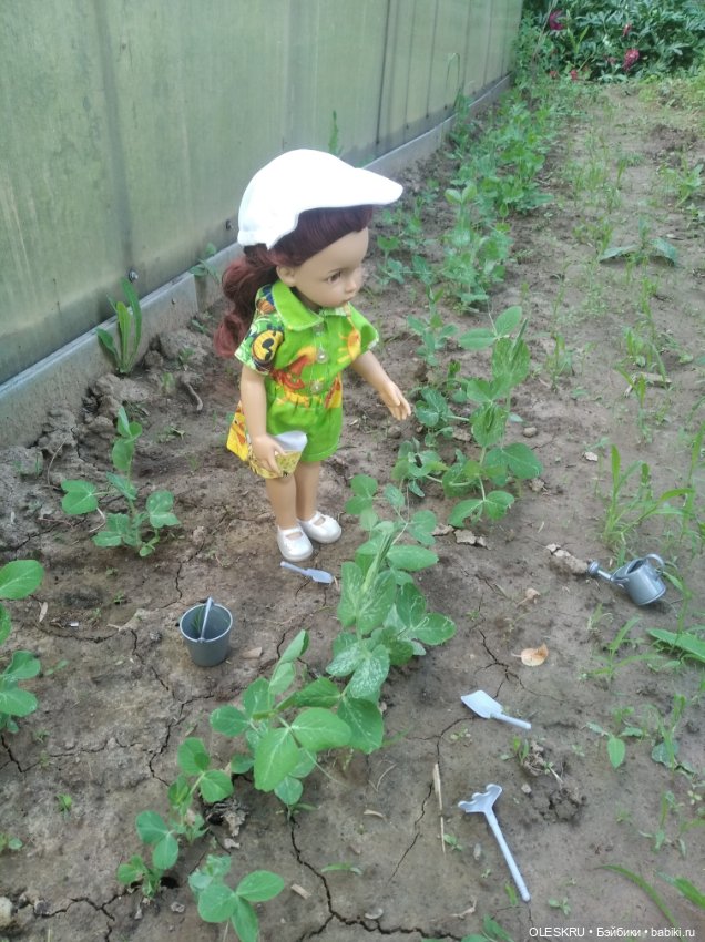 На даче .Светочка на гороховых грядках