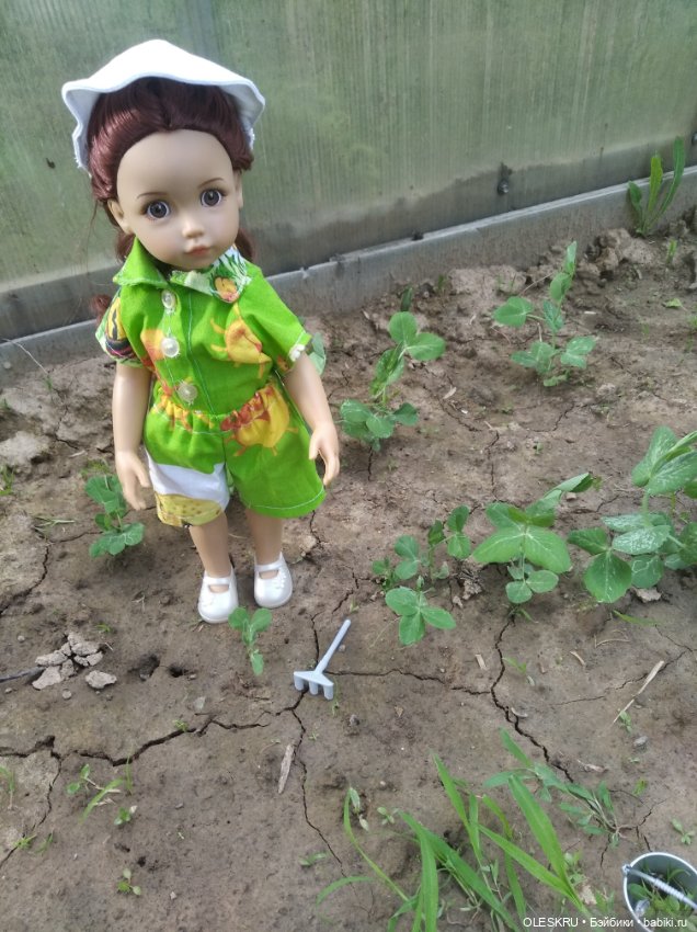 На даче .Светочка на гороховых грядках (фото 5)