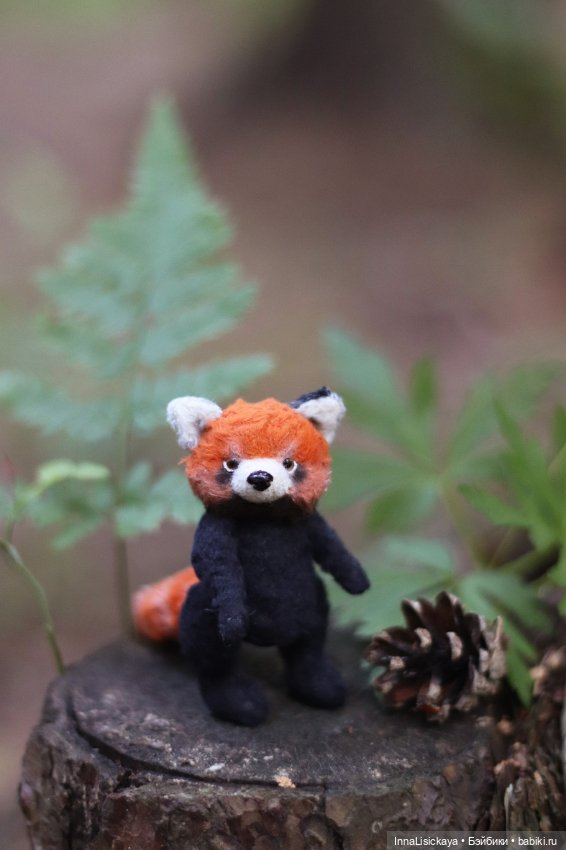 Красная панда или даже дикого зверя можно приручить (фото 3)