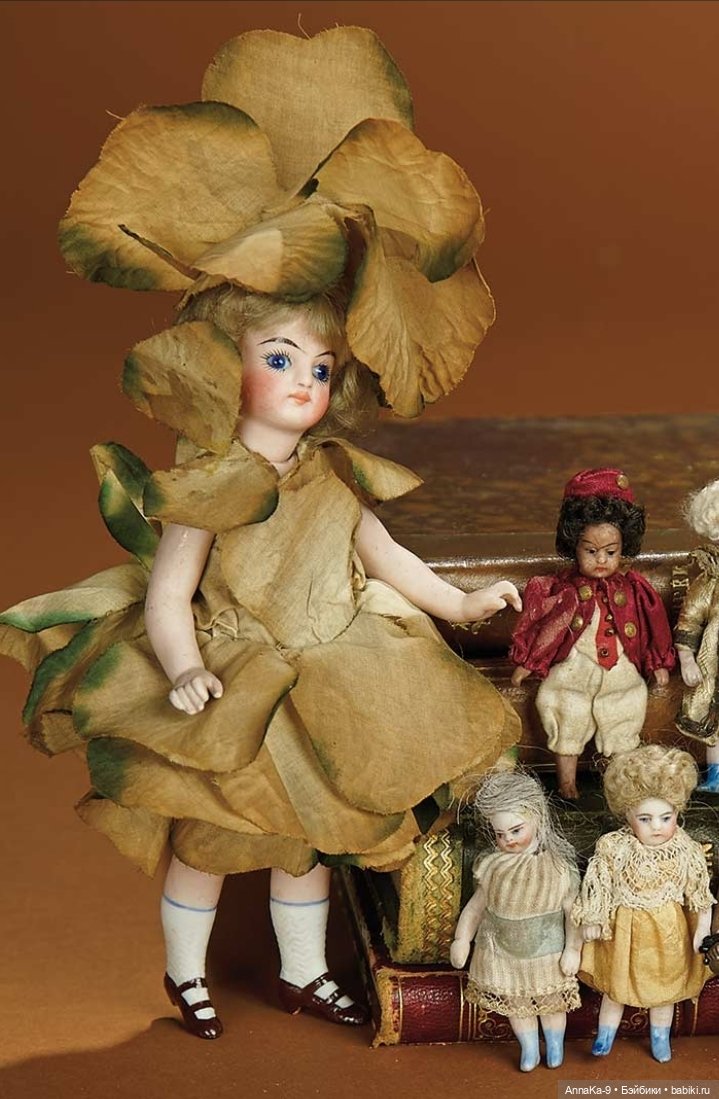 Французские mignonette SFBJ (фото 2)