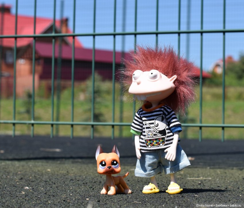 Донни выгуливает собачку — Игровые куклы разных производителей (Разное): редкие бренды (фото 2)