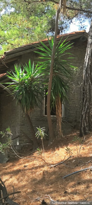 Отель - призрак Eco Dream Club Resort. Турция , Чамьюва. Часть 3