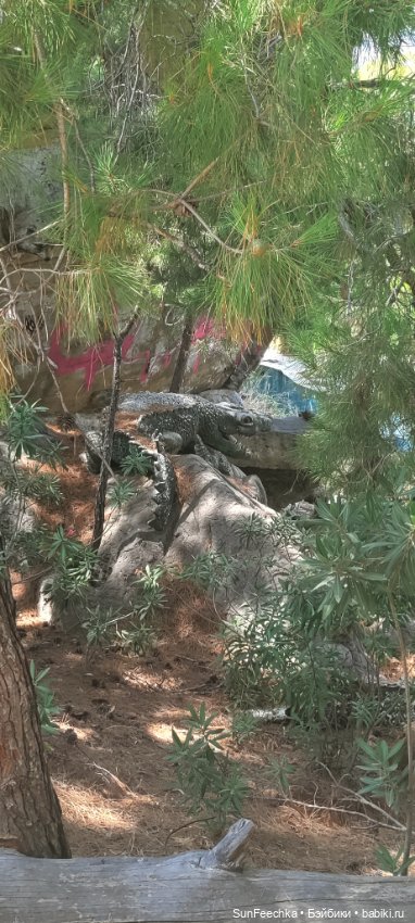 Отель - призрак Eco Dream Club Resort. Турция , Чамьюва. Часть 3 (фото 8)