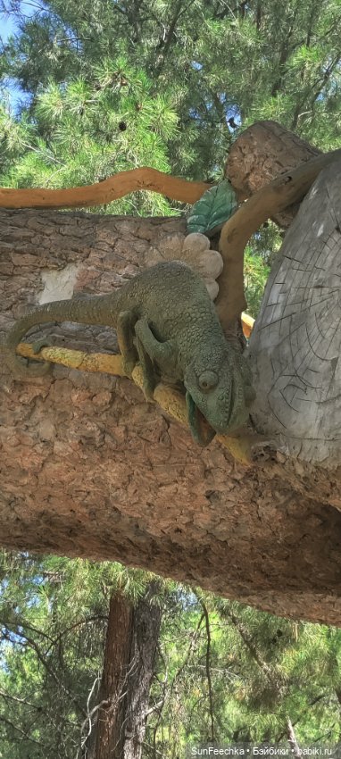 Отель - призрак Eco Dream Club Resort. Турция , Чамьюва. Часть 3 (фото 10)