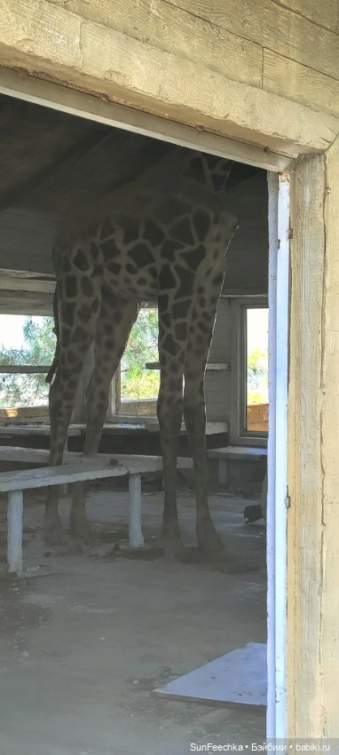 Отель - призрак Eco Dream Club Resort. Турция , Чамьюва. Часть 3 (фото 5)