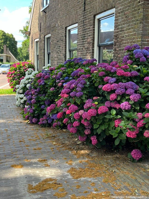 Музыкальная История 131 — Туризм и путешествия: фотоотчеты из поездок