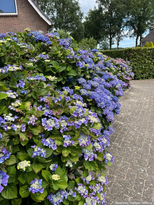 Музыкальная История 131 — Туризм и путешествия: фотоотчеты из поездок