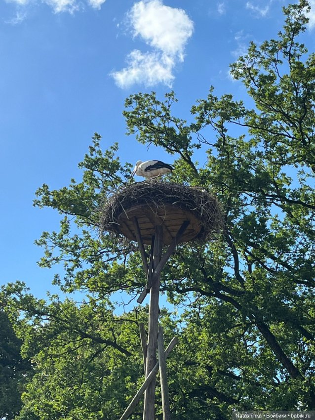 Музыкальная История 131 — Туризм и путешествия: фотоотчеты из поездок