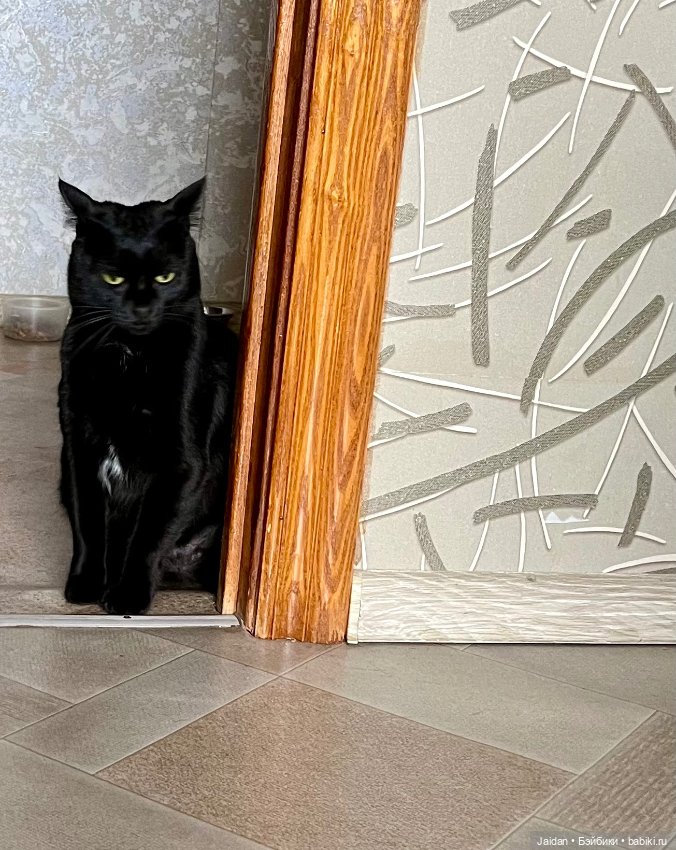 Не сирота — Куклы (фото 5)