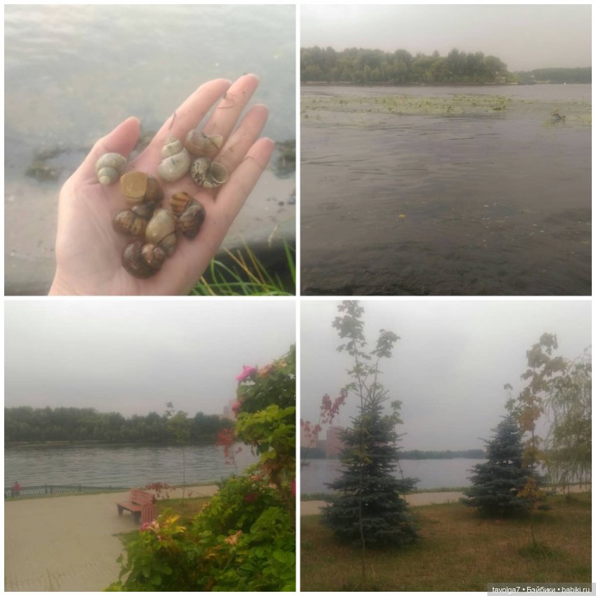 Путешествие в детство - Дюймовочка Аским (фото 4)