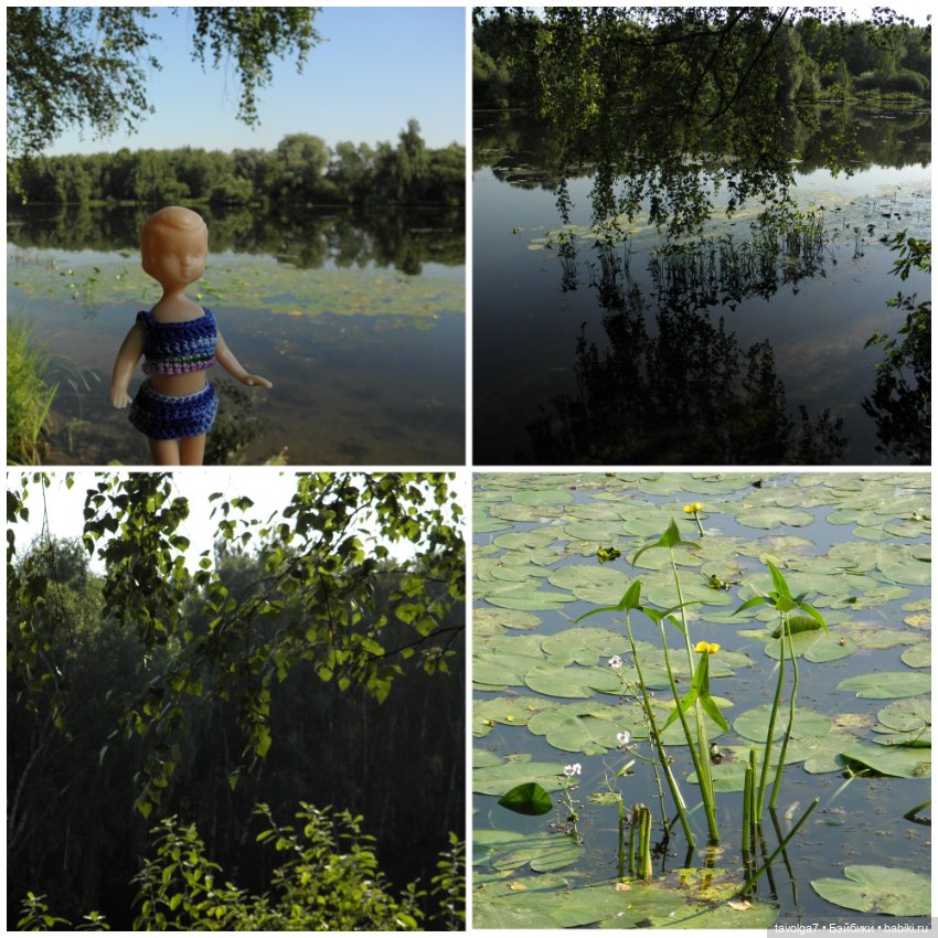 Путешествие в детство - Дюймовочка Аским (фото 10)