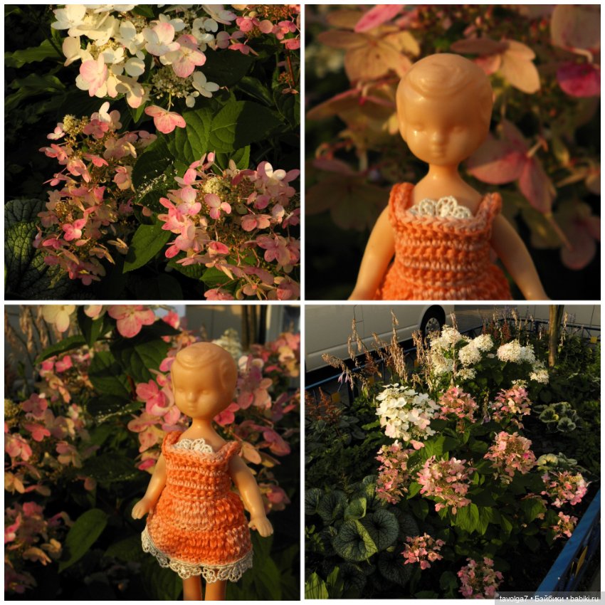 Путешествие в детство - Дюймовочка Аским (фото 2)