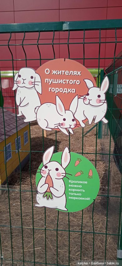 Кот Дремот и День города. 555-й топик