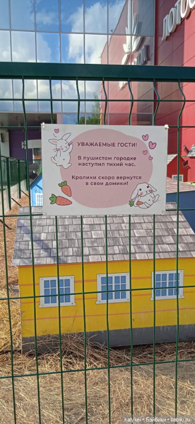 Кот Дремот и День города. 555-й топик