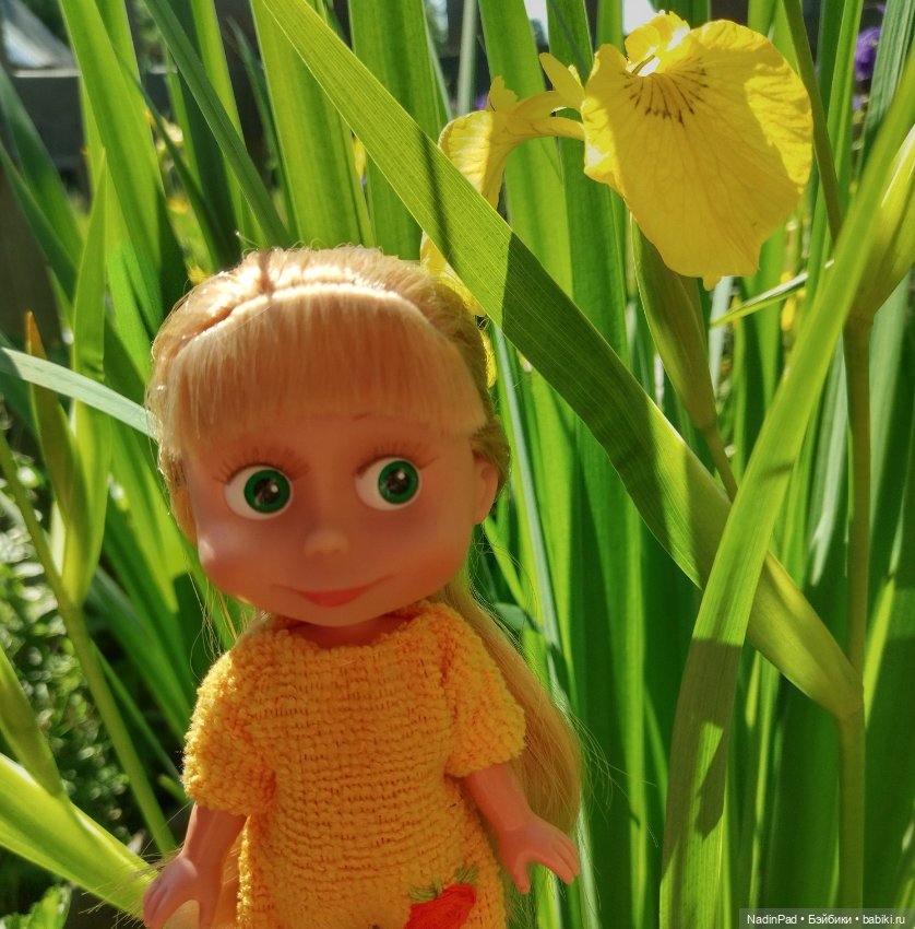 Маша и ирисы — Игровые куклы разных производителей (Разное): редкие бренды (фото 3)