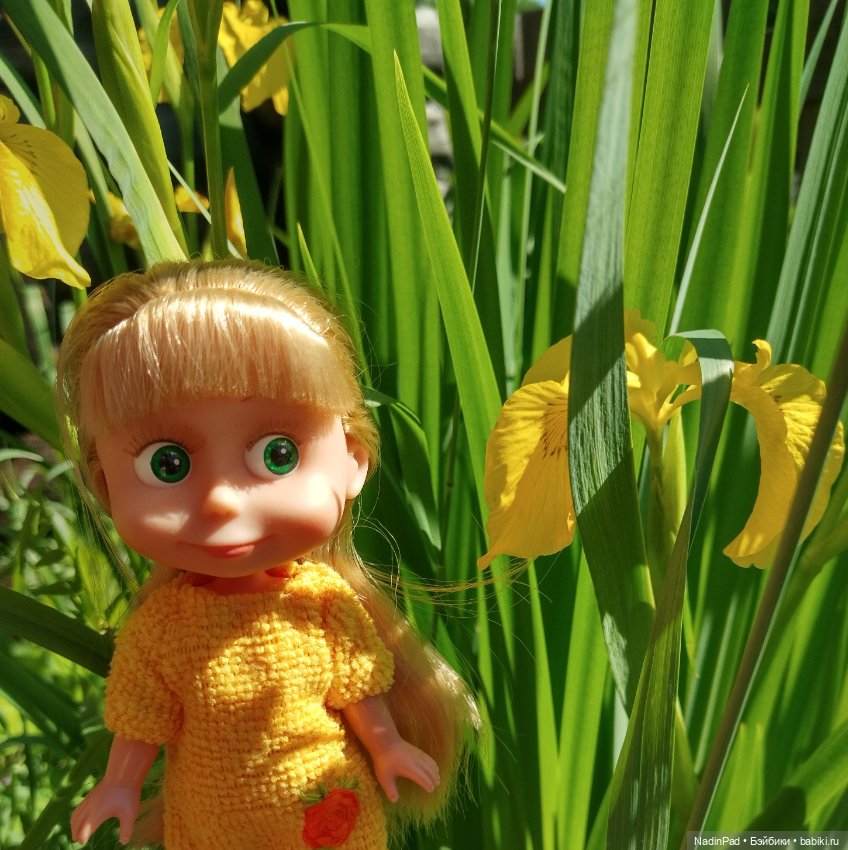 Маша и ирисы — Игровые куклы разных производителей (Разное): редкие бренды (фото 2)