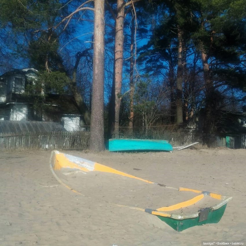 Джой Ле Фрог 2020-2021-2022 (фото 5)