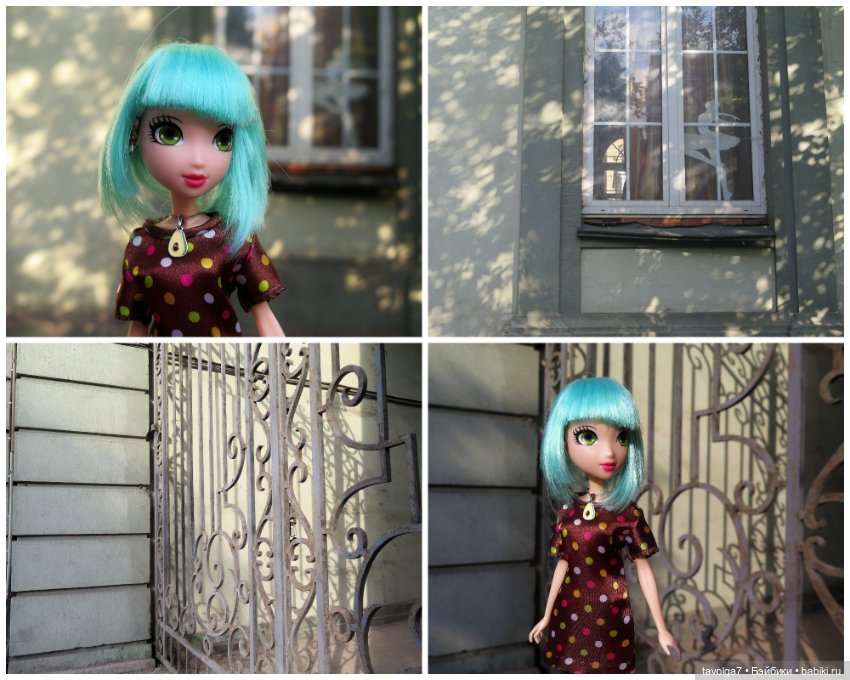 Джой Ле Фрог 2020-2021-2022