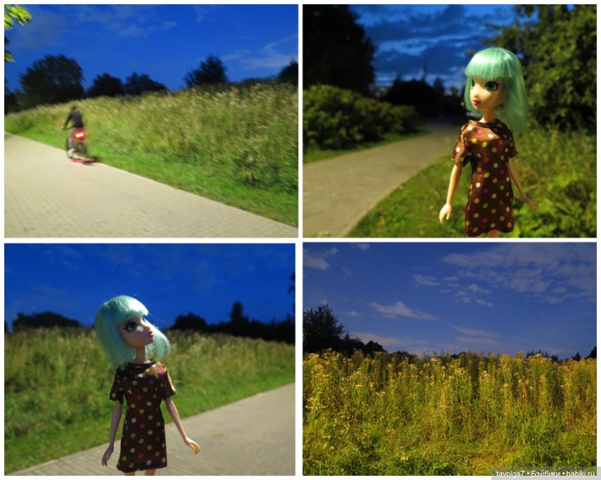 Джой Ле Фрог 2020-2021-2022