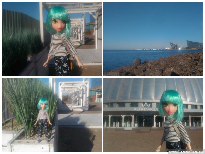 Джой Ле Фрог 2020-2021-2022 (фото 3)