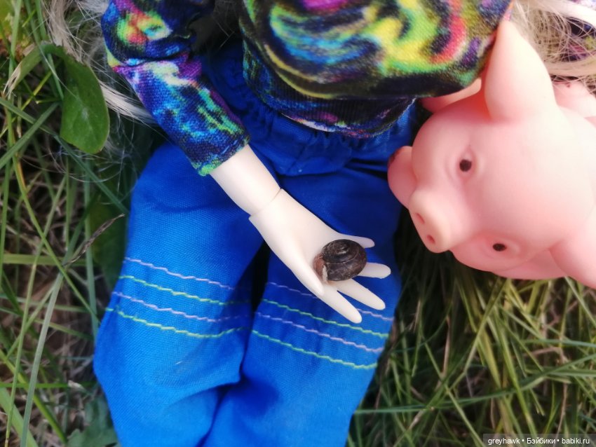 Прогулка с лучшим другом — Аналоги Барби и куклы 1/6: клоны 90 (фото 5)