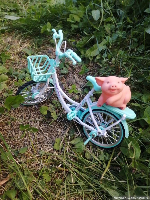 Прогулка с лучшим другом — Аналоги Барби и куклы 1/6: клоны 90