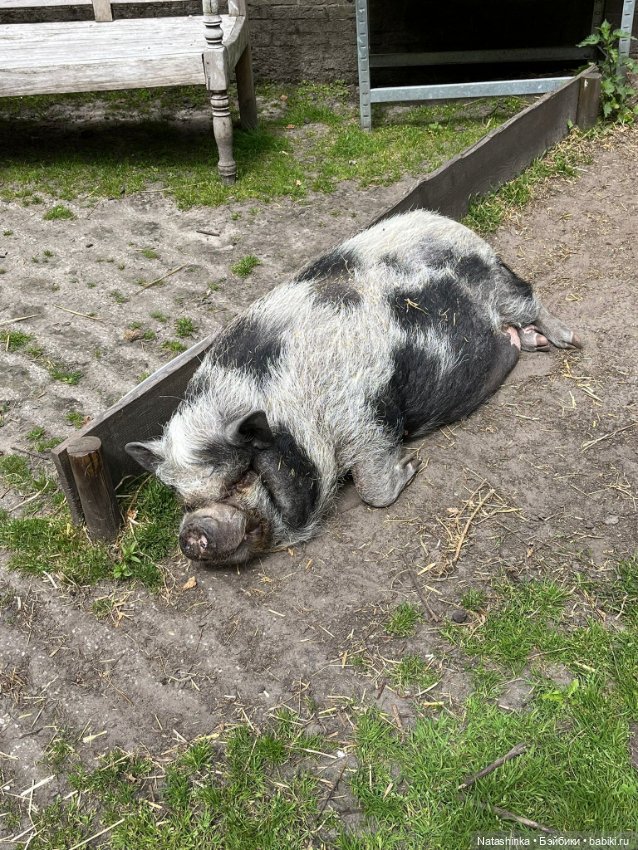 :музыкальная История 132 — Туризм и путешествия: фотоотчеты из поездок