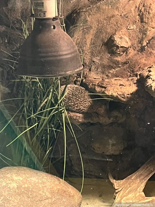 :музыкальная История 132 — Туризм и путешествия: фотоотчеты из поездок