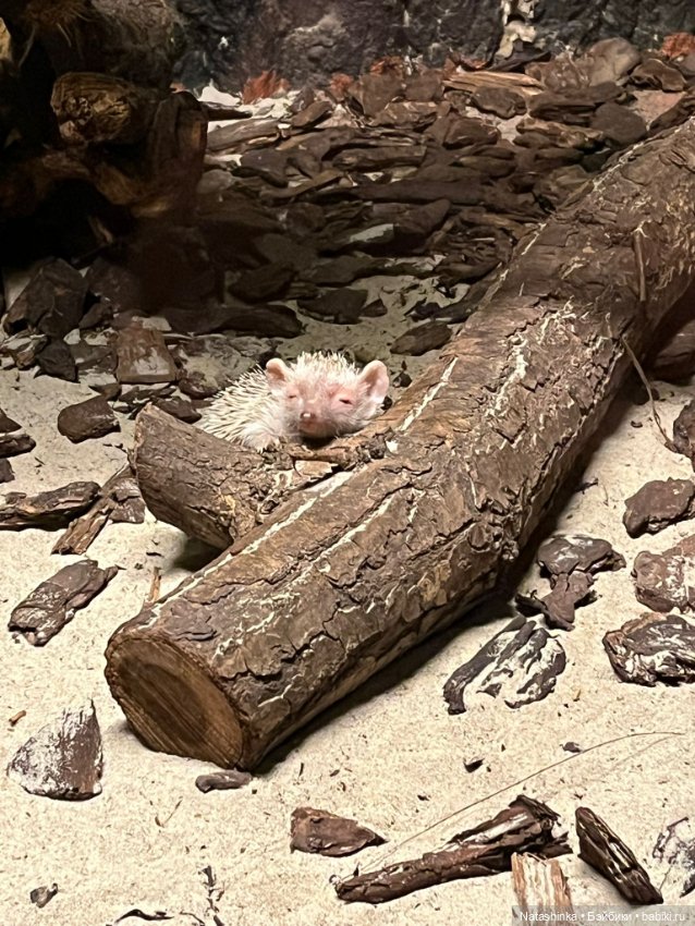 :музыкальная История 132 — Туризм и путешествия: фотоотчеты из поездок