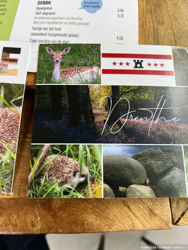 :музыкальная История 132 — Туризм и путешествия: фотоотчеты из поездок