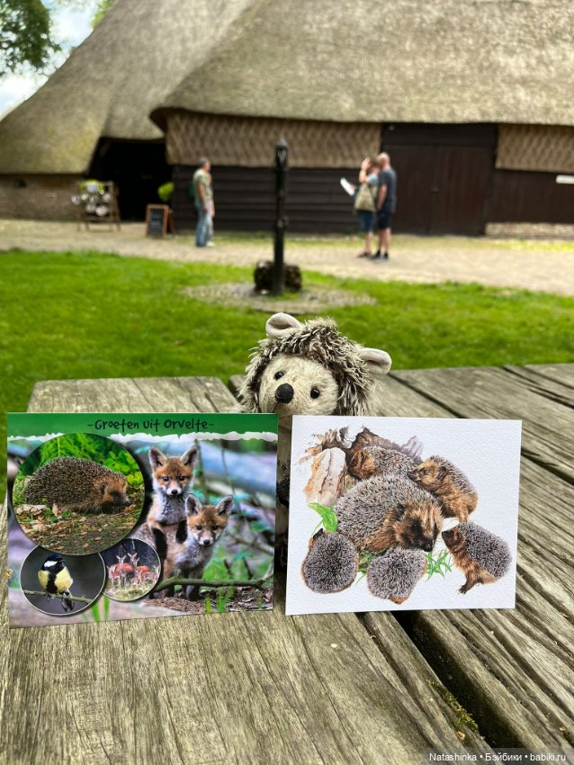 :музыкальная История 132 — Туризм и путешествия: фотоотчеты из поездок