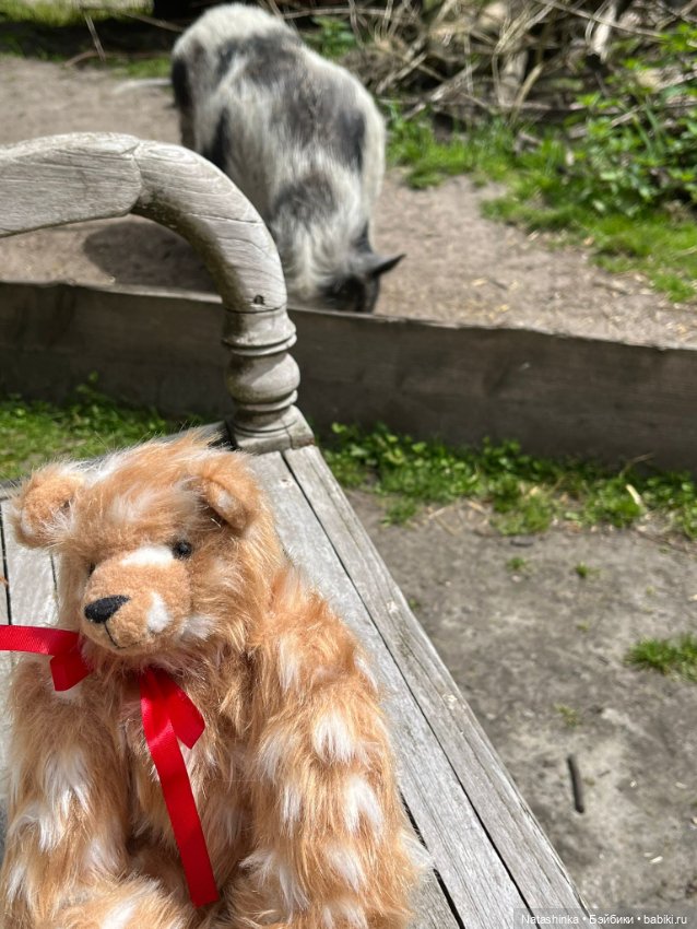 :музыкальная История 132 — Туризм и путешествия: фотоотчеты из поездок