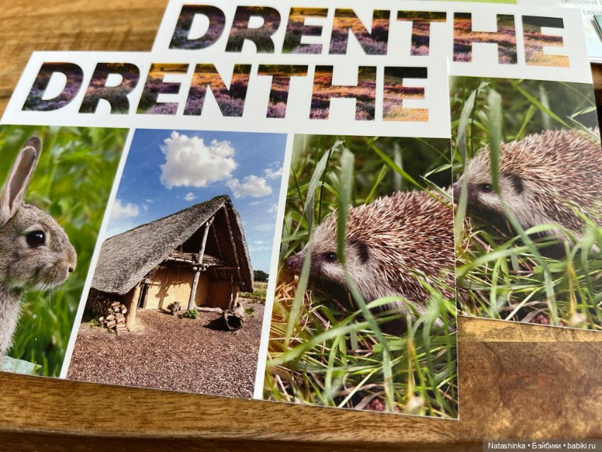 :музыкальная История 132 — Туризм и путешествия: фотоотчеты из поездок