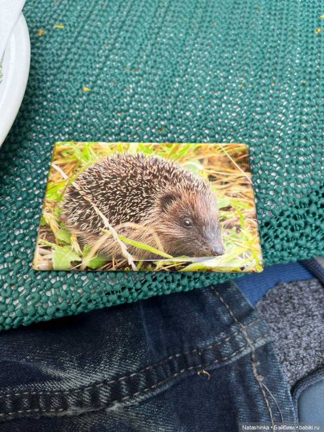 :музыкальная История 132 — Туризм и путешествия: фотоотчеты из поездок