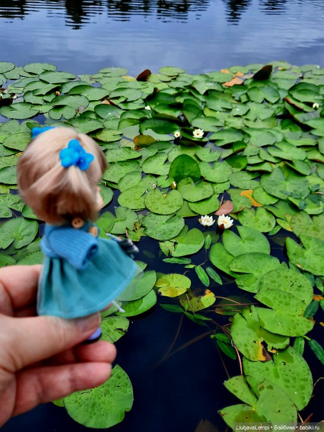 Янкина прогулка — Куклы с Алиэкспресс (Aliexpress): Китайские шарнирные (фото 2)