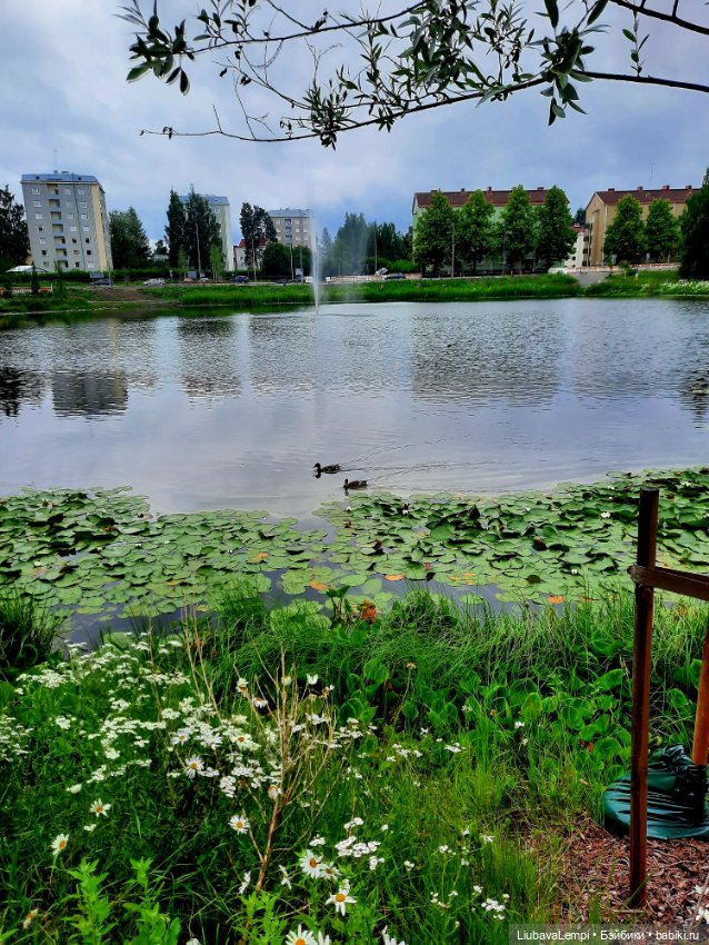 Янкина прогулка — Куклы с Алиэкспресс (Aliexpress): Китайские шарнирные (фото 3)