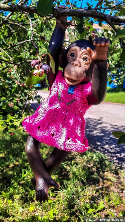 Обезьянка Луна — Куклы ASI (Аси): испанские пупсы (фото 7)