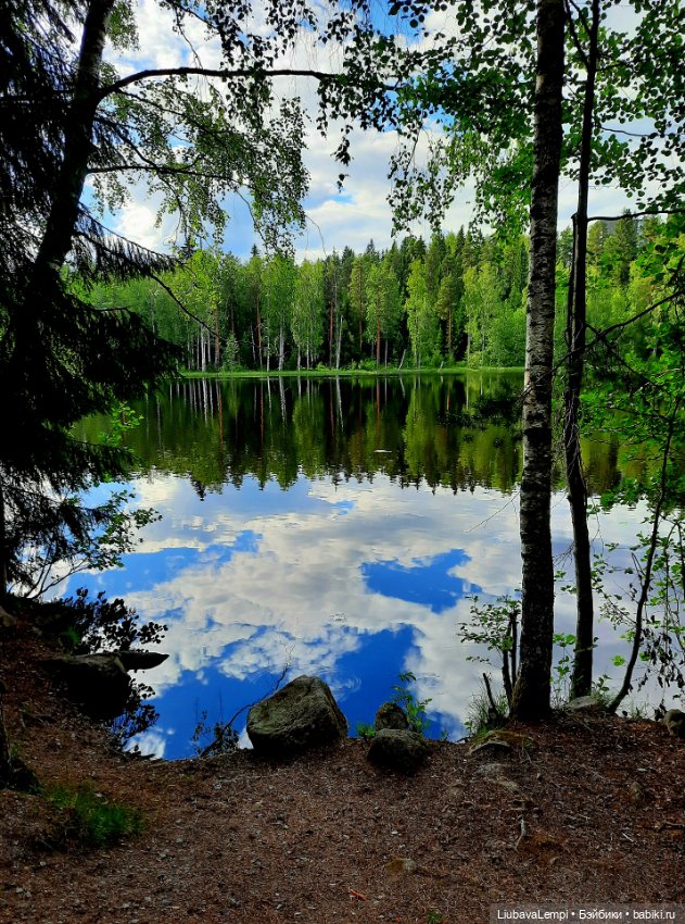 Янкина прогулка — Куклы с Алиэкспресс (Aliexpress): Китайские шарнирные